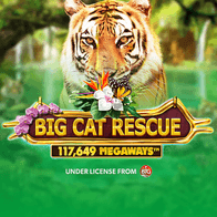 Big Cat RescueMegaways screenshot